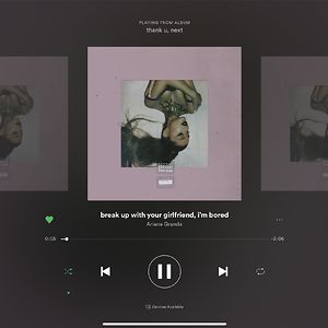 mikaelatorres avatar