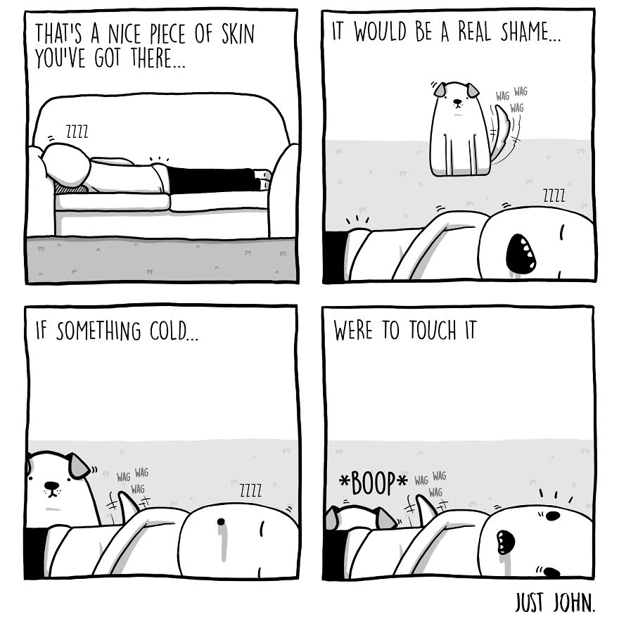 Doggo Craving For Atten-John