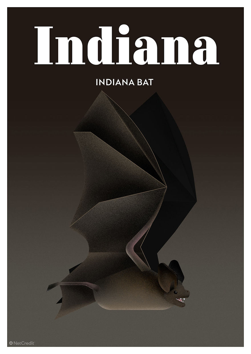 Indiana Bat
