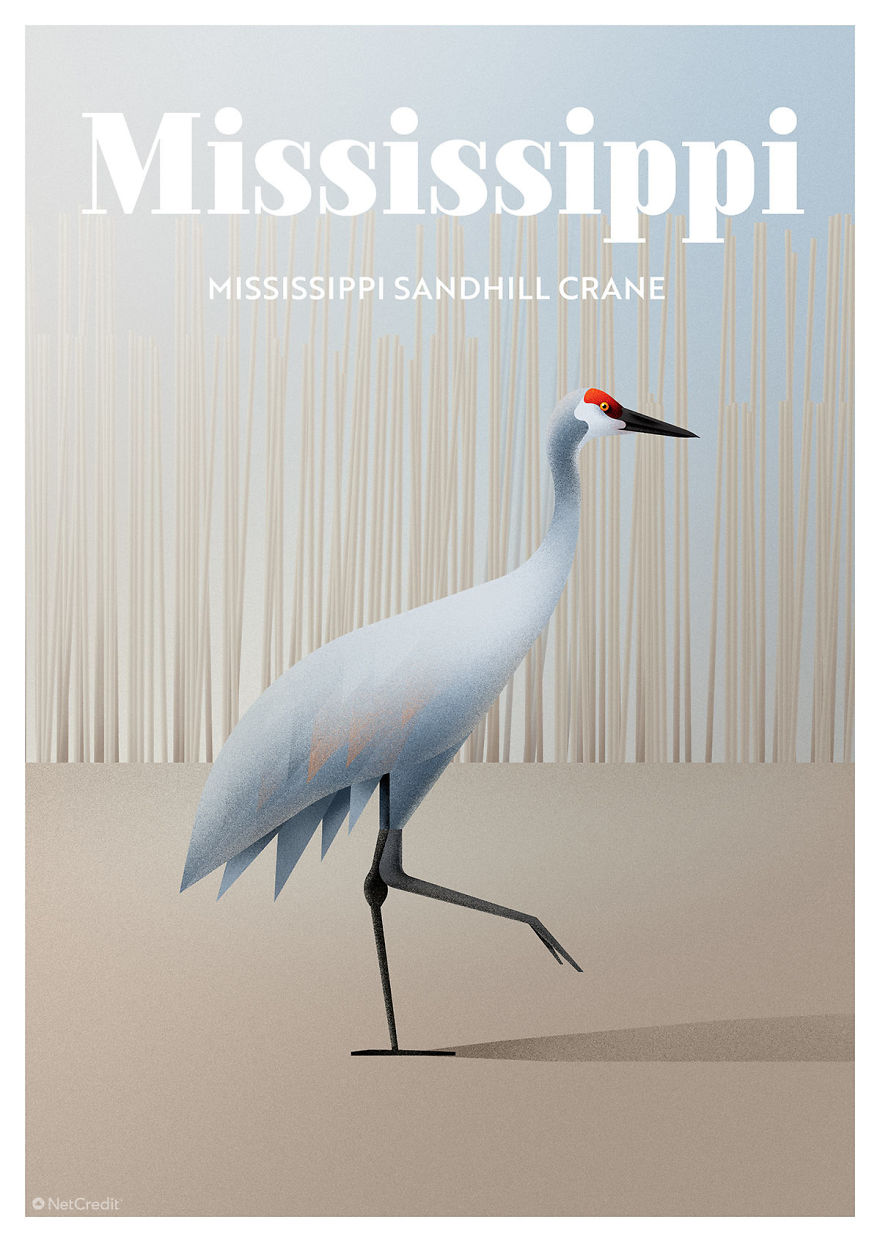 Mississippi Sandhill Crane