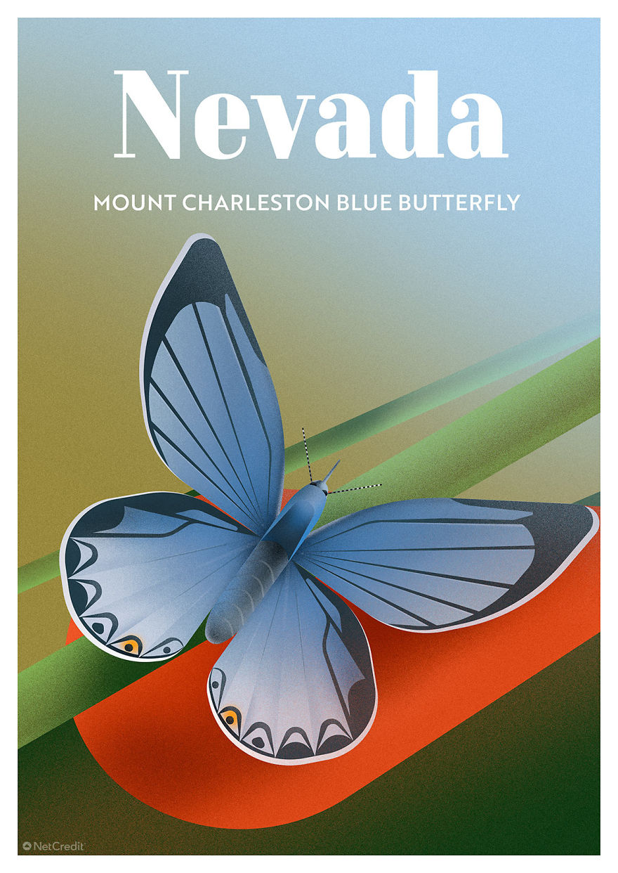 Mount Charleston Blue Butterfly