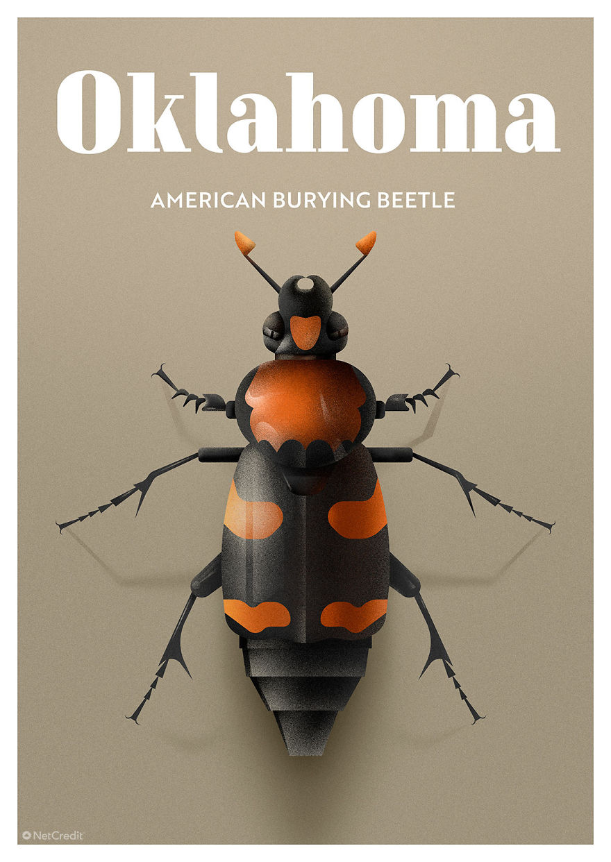 American Burying Beetle