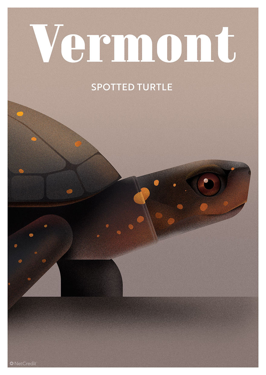 Spotted Turtle