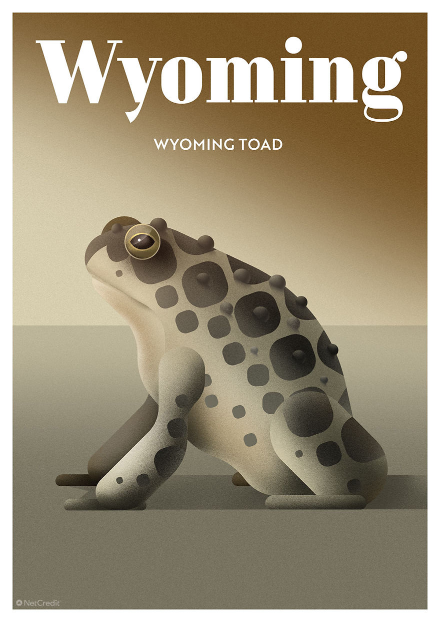 Wyoming Toad