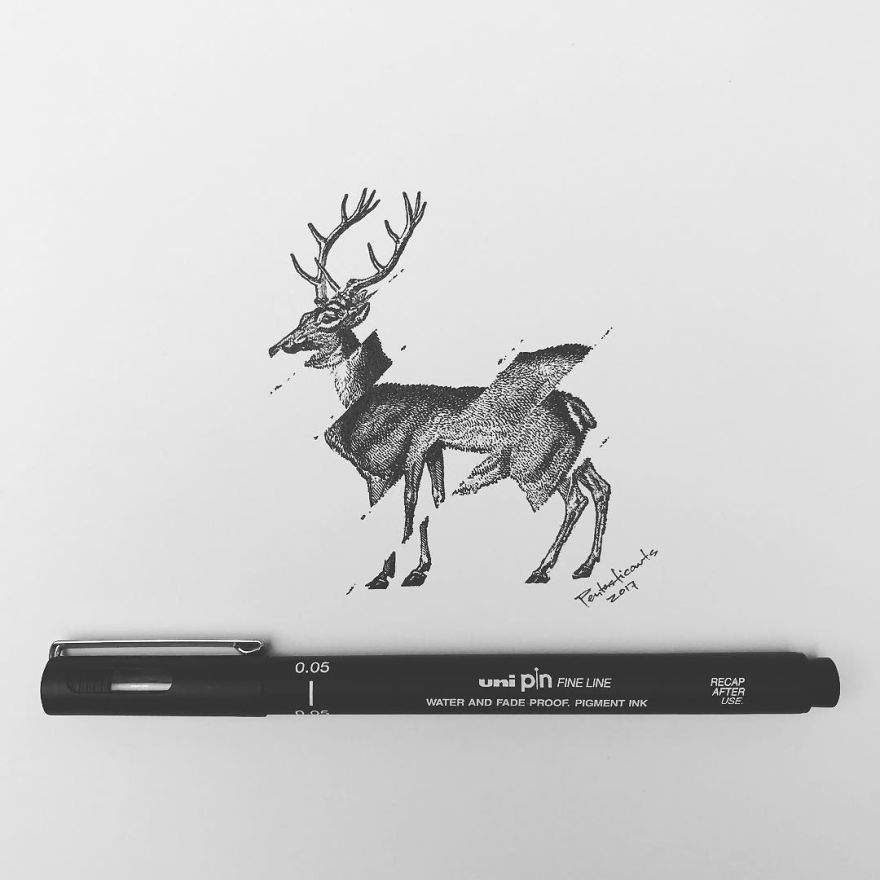 Hidden Drawings By Joseph Catimbang