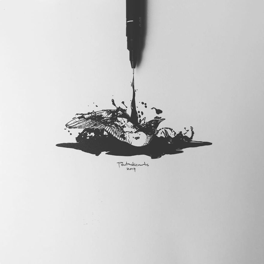 Hidden Drawings By Joseph Catimbang