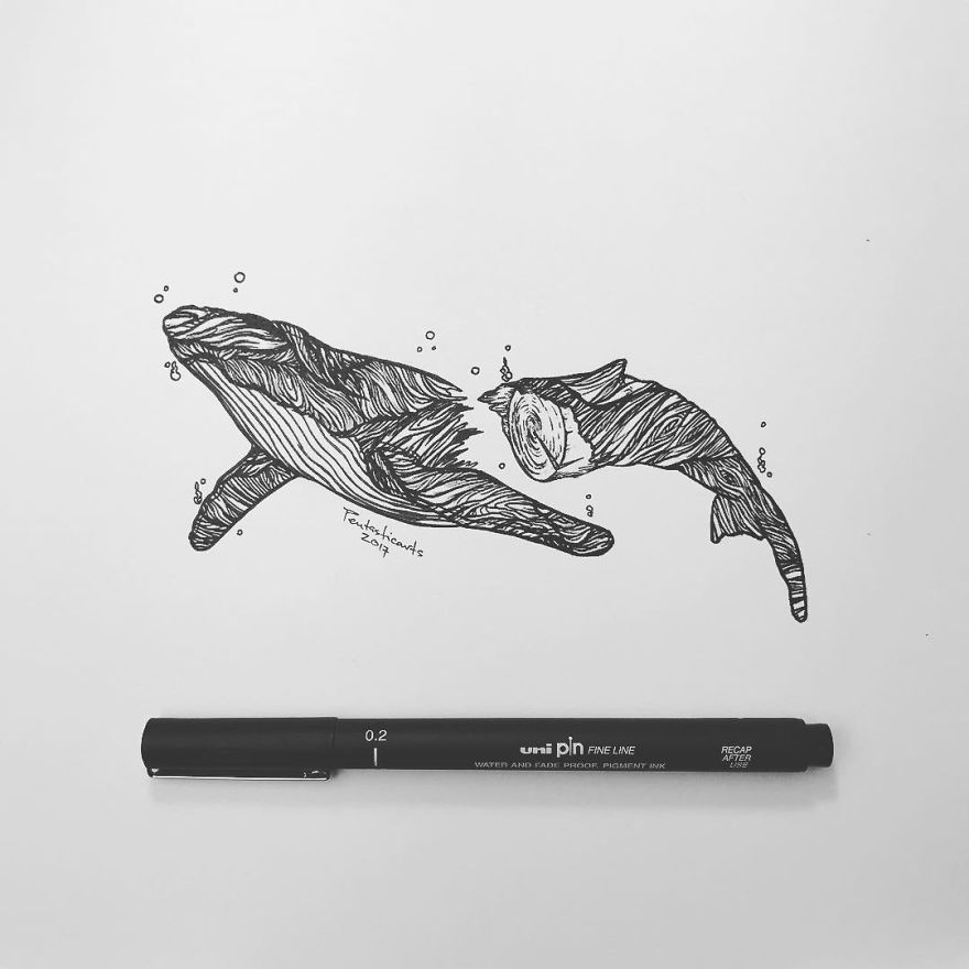 Hidden Drawings By Joseph Catimbang