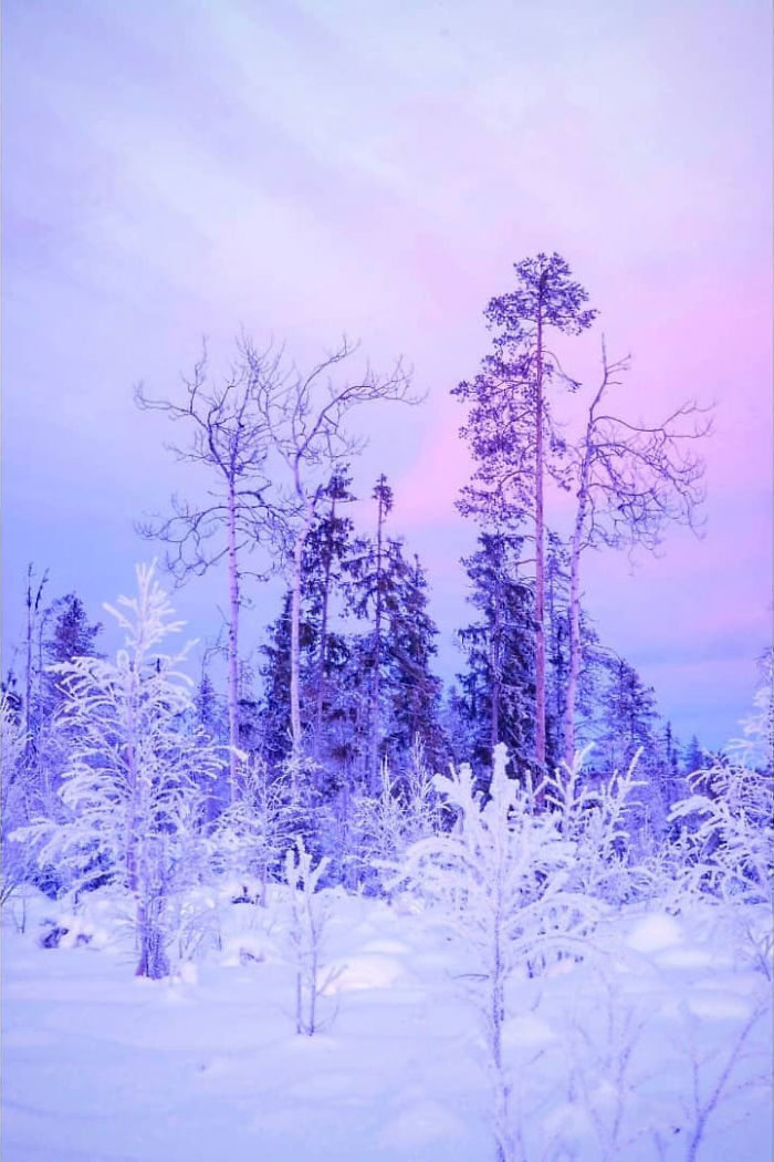 I Capture The Beautiful Winter In The Northern Part Of Sweden