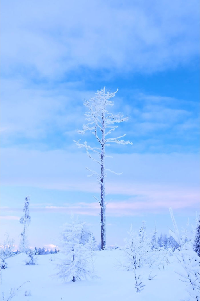 I Capture The Beautiful Winter In The Northern Part Of Sweden