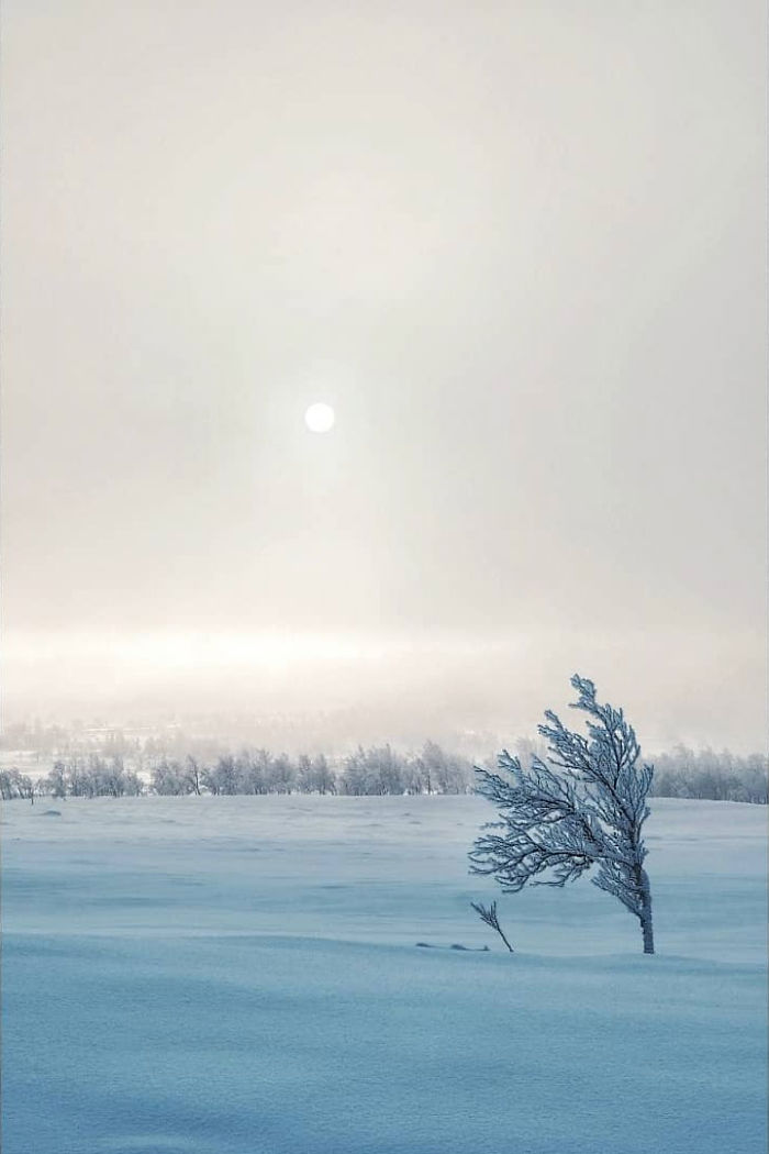 I Capture The Beautiful Winter In The Northern Part Of Sweden