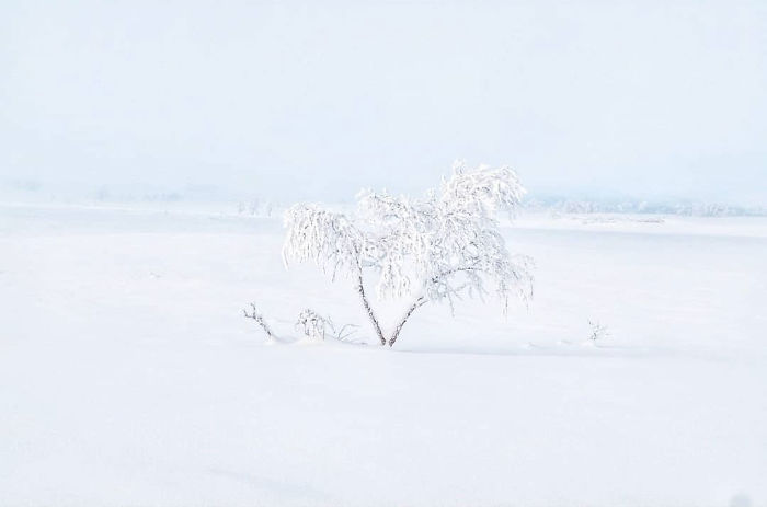 I Captured The Beautiful Winter In The Northern Part Of Sweden