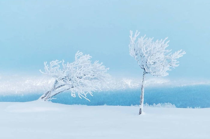 I Captured The Beautiful Winter In The Northern Part Of Sweden