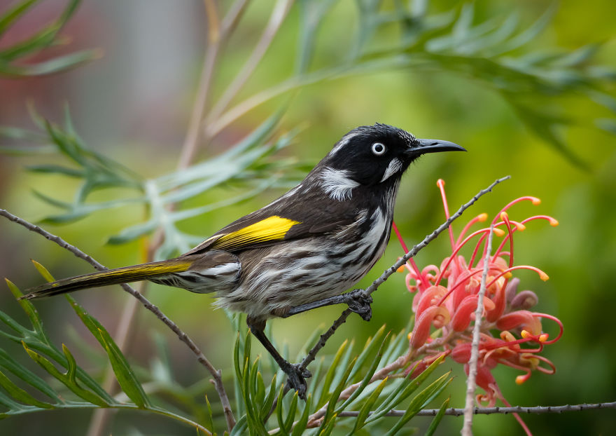 I Created A 'Photographer's Garden' In My Backyard Because My Life Was Too Busy For Travel