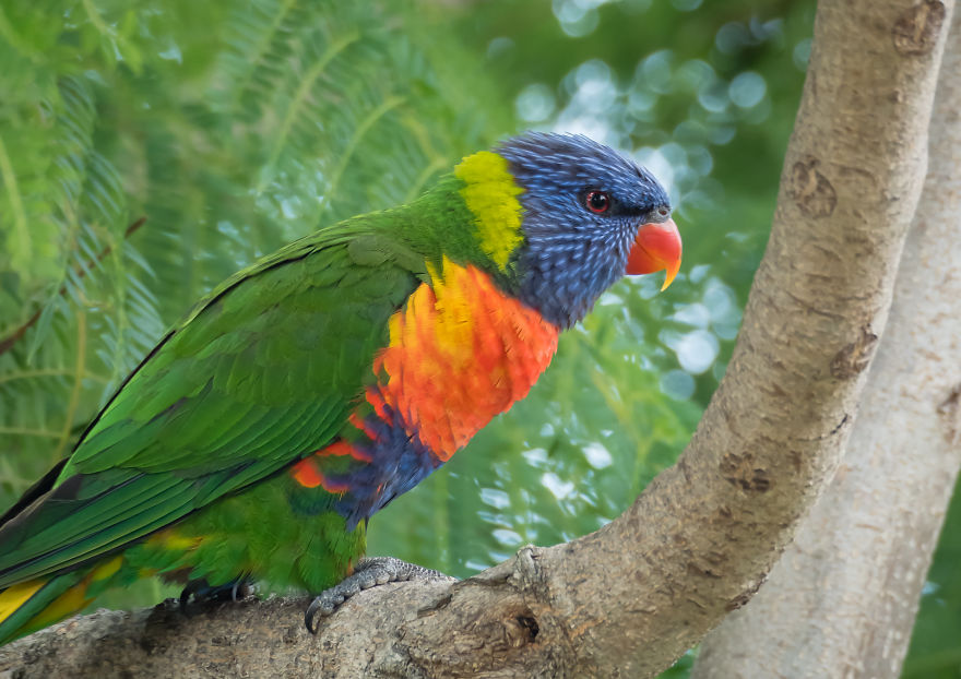 I Created A 'Photographer's Garden' In My Backyard Because My Life Was Too Busy For Travel