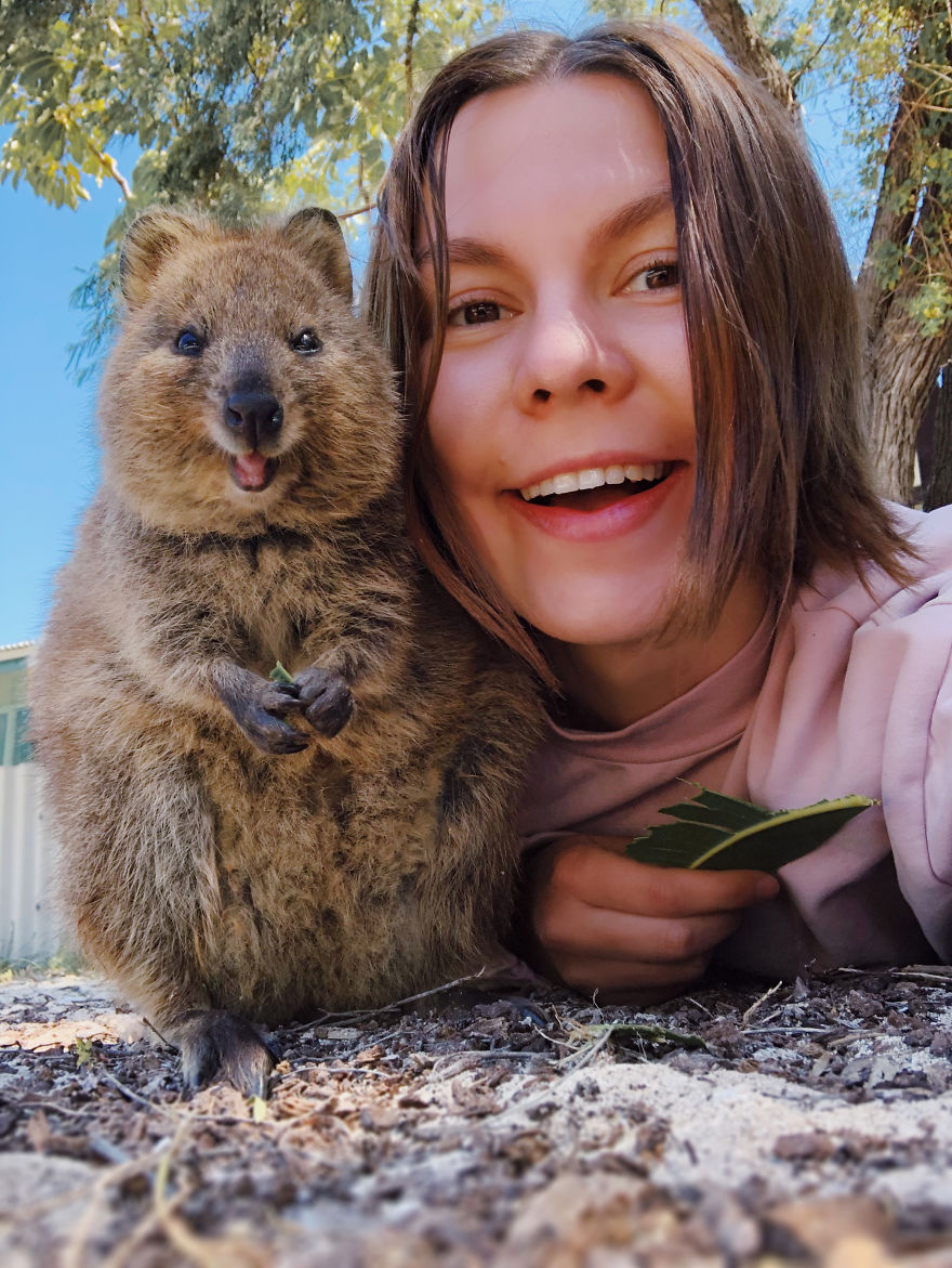 I Flew 25 Hours To Australia Just To See The Cutest Animals In The World - Quokkas