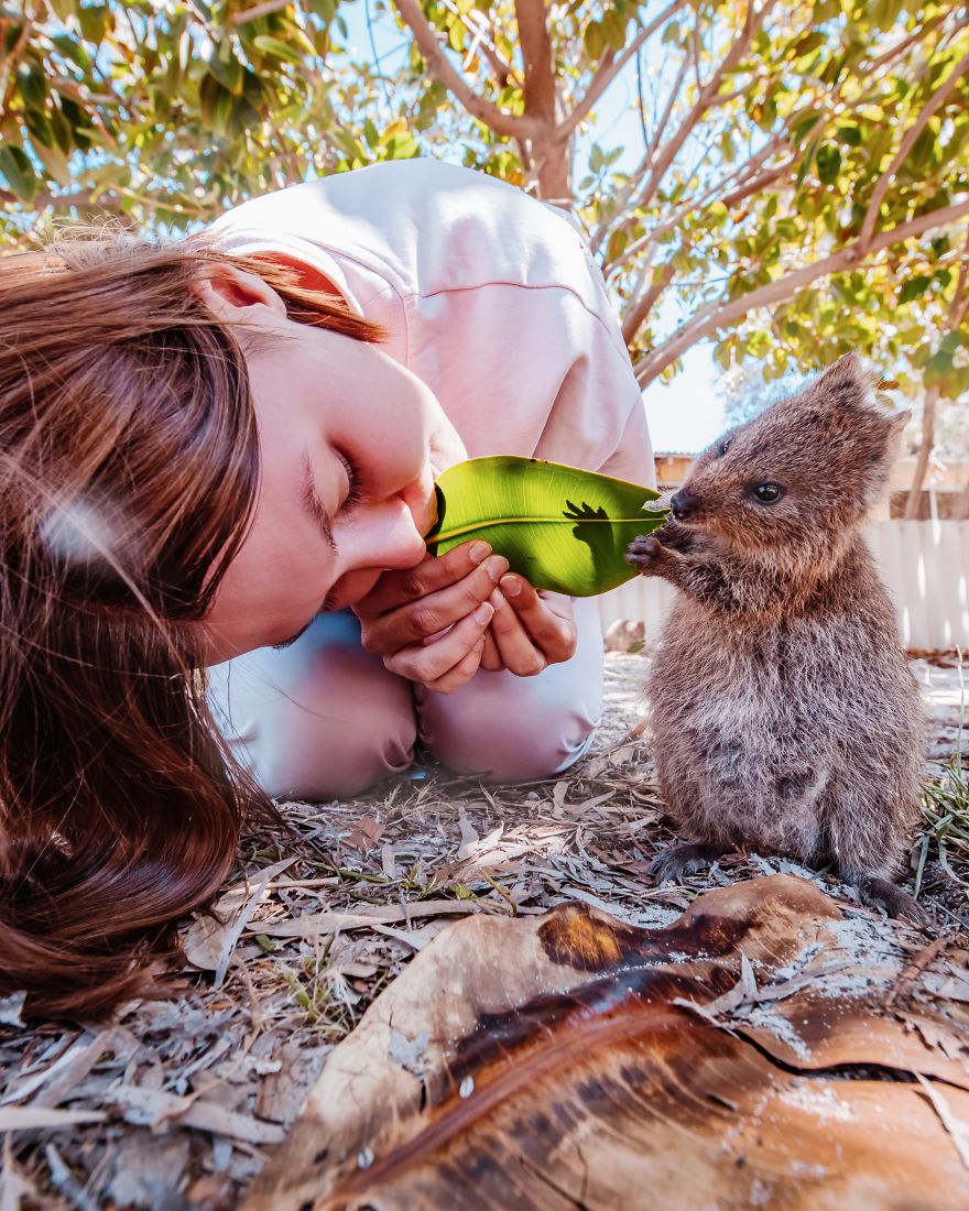 I Flew 25 Hours To Australia Just To See The Cutest Animals In The World - Quokkas