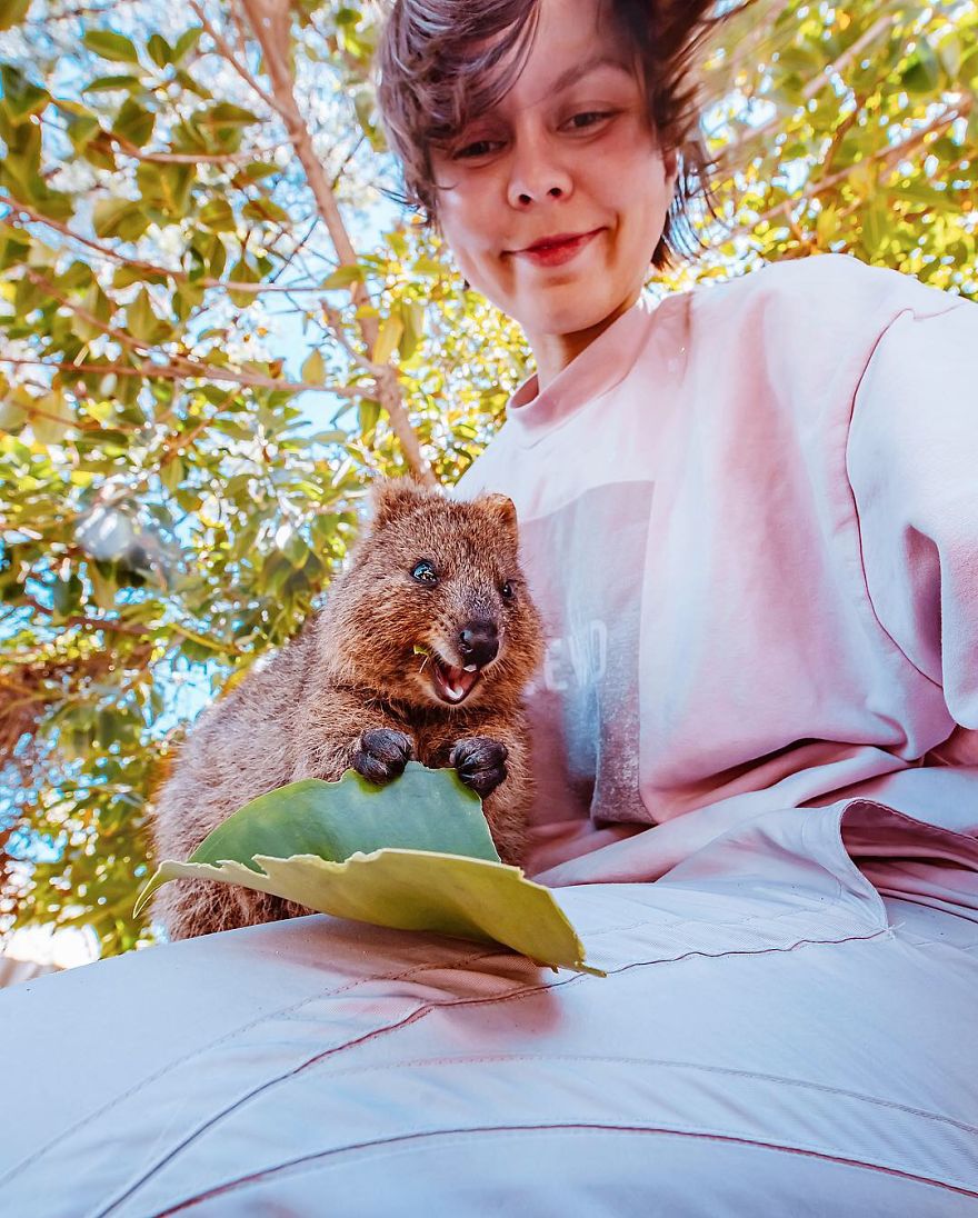 I Flew 25 Hours To Australia Just To See The Cutest Animals In The World - Quokkas