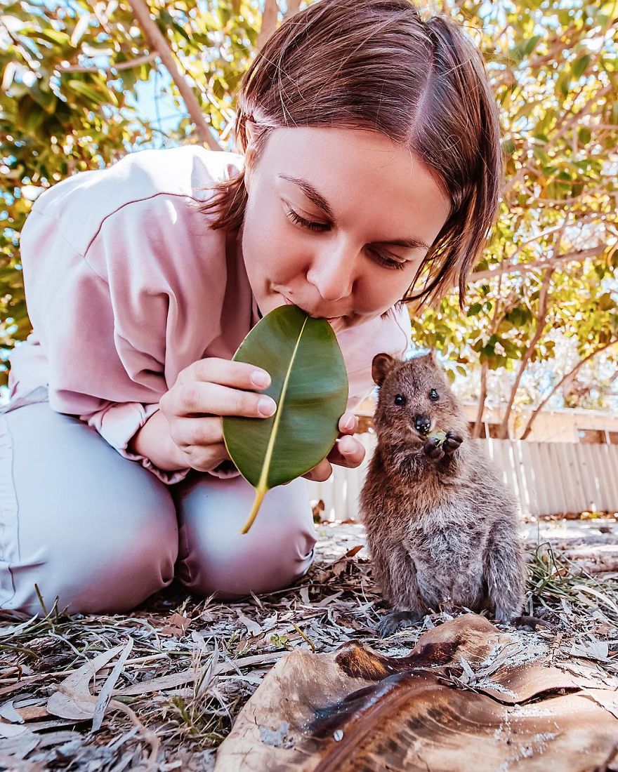 I Flew 25 Hours To Australia Just To See The Cutest Animals In The World - Quokkas