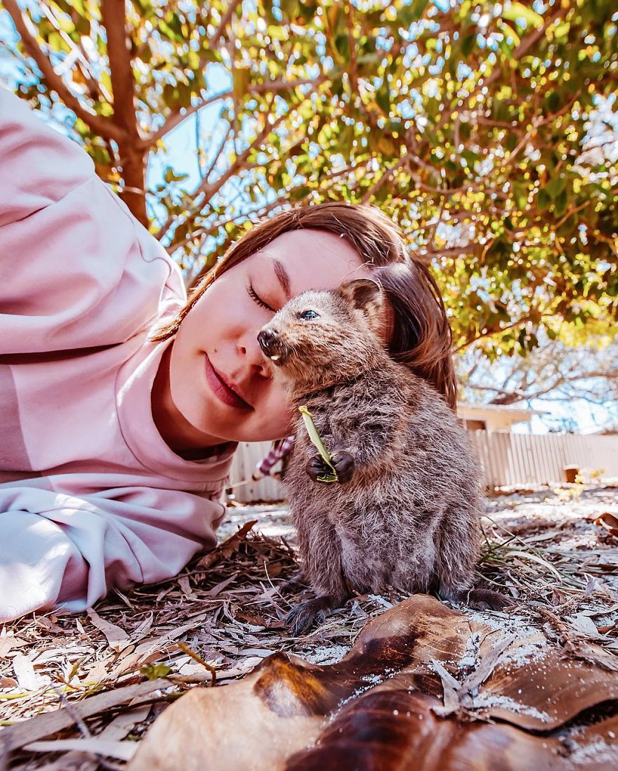 I Flew 25 Hours To Australia Just To See The Cutest Animals In The World - Quokkas