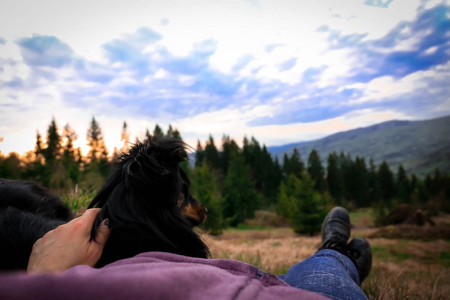 I Found Her In A Plastic Bag And Now She Is Making My Life Whole I Found Her In A Plastic Bag And Now She Is Making My Life Whole