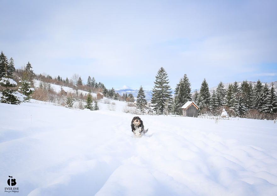I Found Her In A Plastic Bag And Now She Is Making My Life Whole I Found Her In A Plastic Bag And Now She Is Making My Life Whole