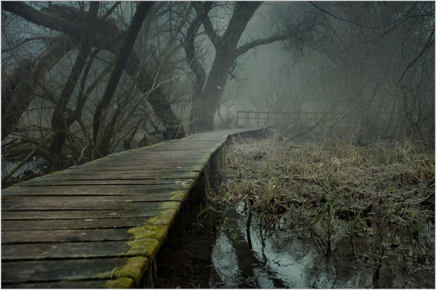 I Found A Chilling Path That Looked Like A Trail To Mordor (20 Pics)