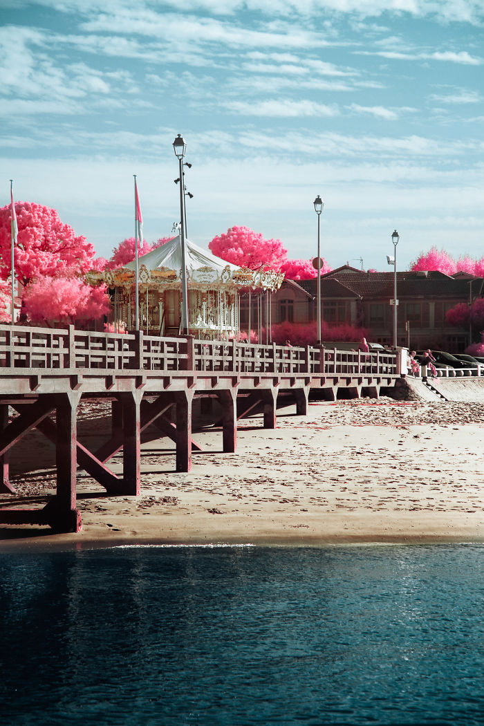 I Made A Lens Filter To Recreate The Kodak Aerochrome Filmic Look With A Modified Digital Camera.