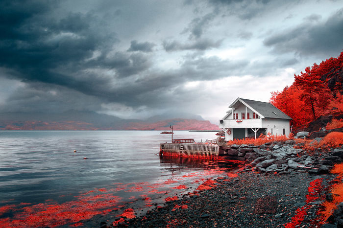 I Made A Lens Filter To Recreate The Kodak Aerochrome Filmic Look With A Modified Digital Camera.