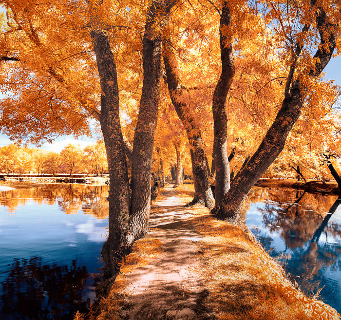 I Made A Lens Filter To Recreate The Kodak Aerochrome Filmic Look With A Modified Digital Camera.