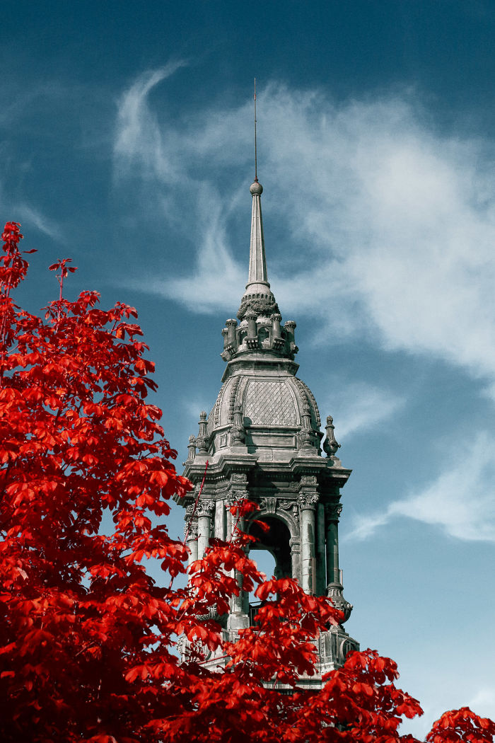 I Made A Lens Filter To Recreate The Kodak Aerochrome Filmic Look With A Modified Digital Camera.