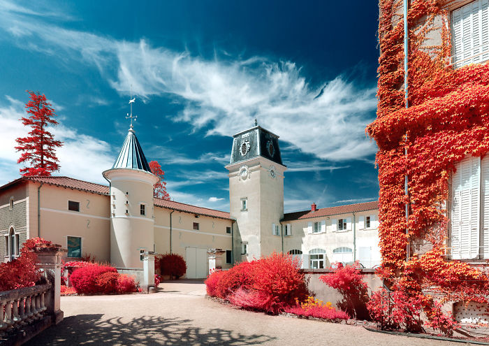 I Made A Lens Filter To Recreate The Kodak Aerochrome Filmic Look With A Modified Digital Camera.