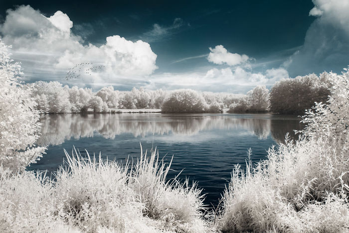 I Made A Lens Filter To Recreate The Kodak Aerochrome Filmic Look With A Modified Digital Camera.