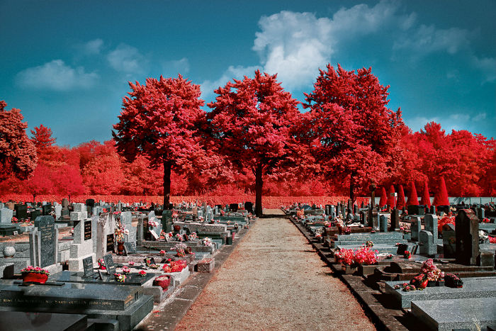 I Made A Lens Filter To Recreate The Kodak Aerochrome Filmic Look With A Modified Digital Camera.