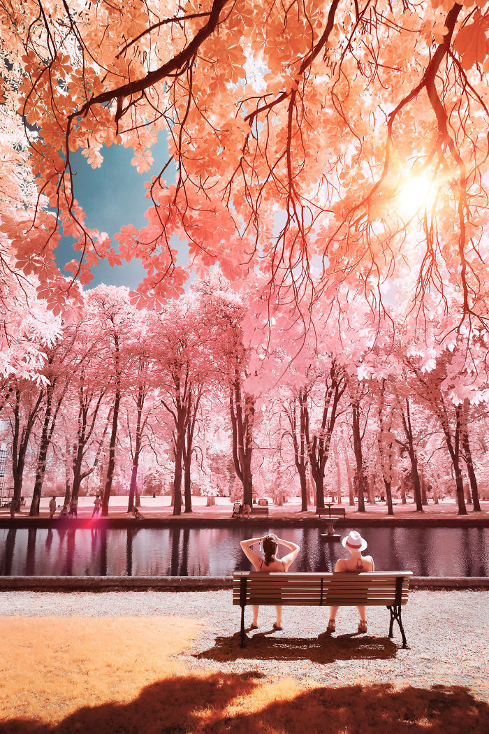 I Made A Lens Filter To Recreate The Kodak Aerochrome Filmic Look With A Modified Digital Camera.