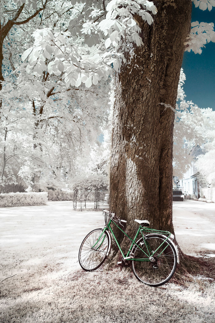 I Made A Lens Filter To Recreate The Kodak Aerochrome Filmic Look With A Modified Digital Camera.