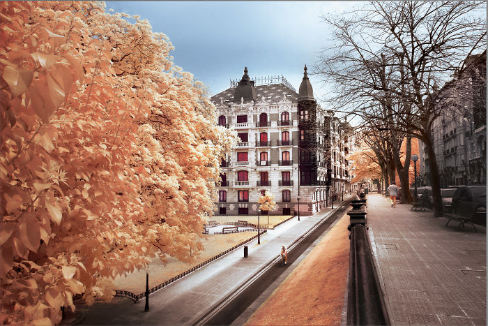 I Made A Lens Filter To Recreate The Kodak Aerochrome Filmic Look With A Modified Digital Camera.