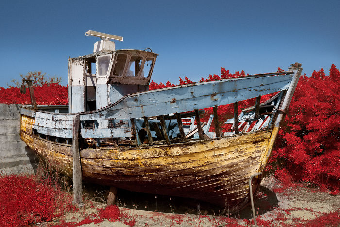 I Made A Lens Filter To Recreate The Kodak Aerochrome Filmic Look With A Modified Digital Camera.