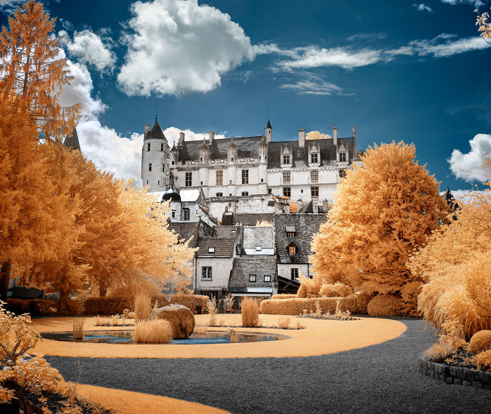 I Made A Lens Filter To Recreate The Kodak Aerochrome Filmic Look With A Modified Digital Camera.