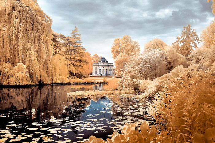 I Made A Lens Filter To Recreate The Kodak Aerochrome Filmic Look With A Modified Digital Camera.