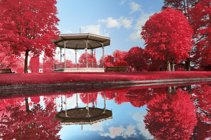 I Made A Lens Filter To Recreate The Kodak Aerochrome Filmic Look With A Modified Digital Camera.