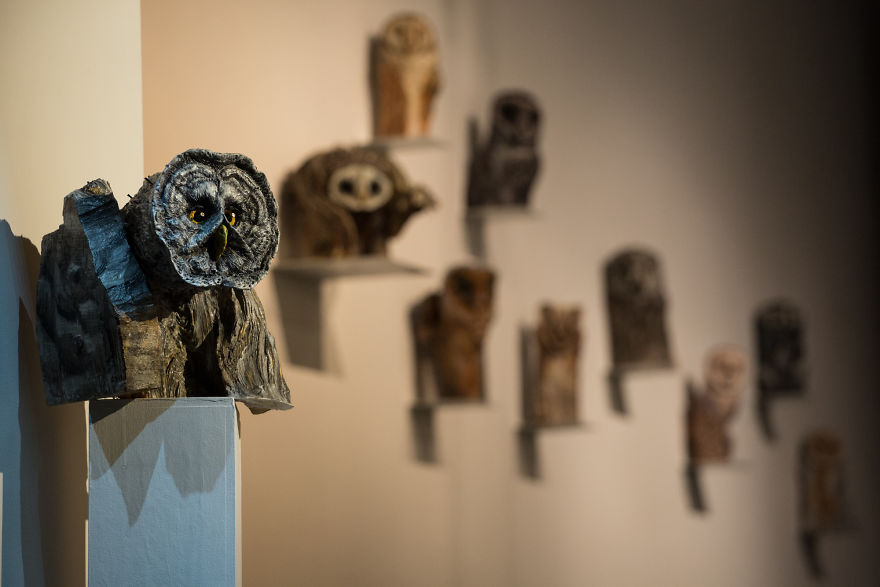 I Use Wood And Clay To Create Realistic Owl Sculptures I Use Wood And Clay To Create Realistic Owl Sculptures