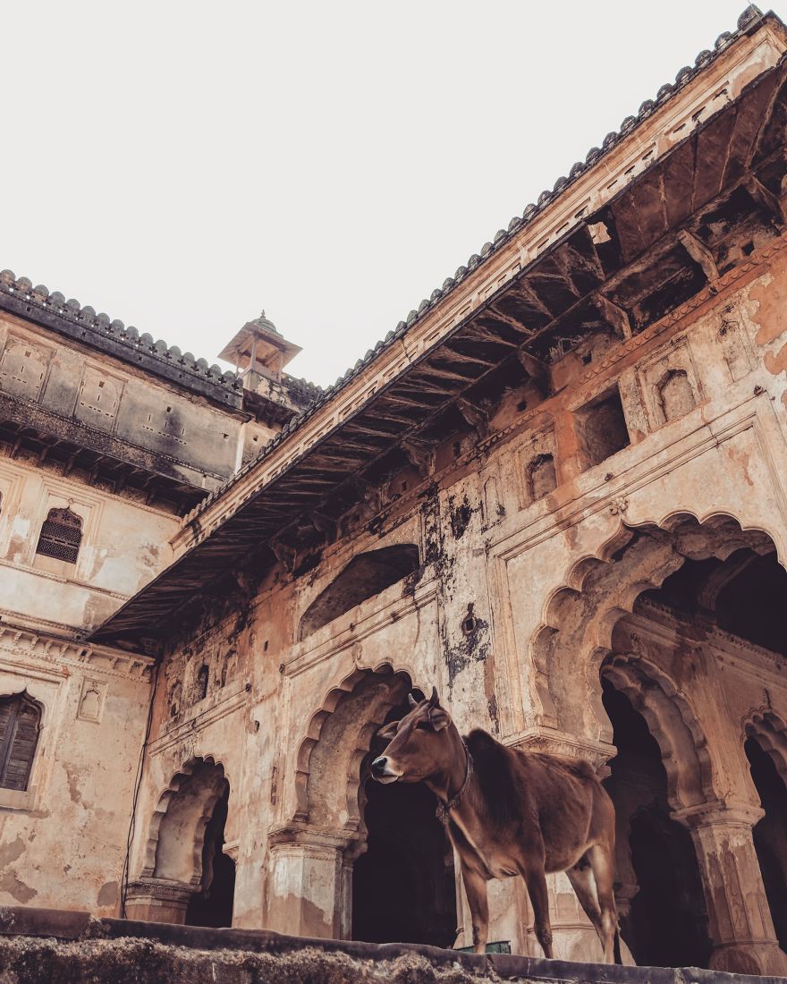 I Travelled To India To Capture Its Soul With My Smartphone.