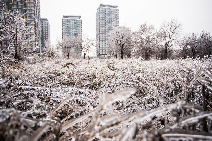 I Photographed Freezing Rain, Alternately Beautiful And Scary