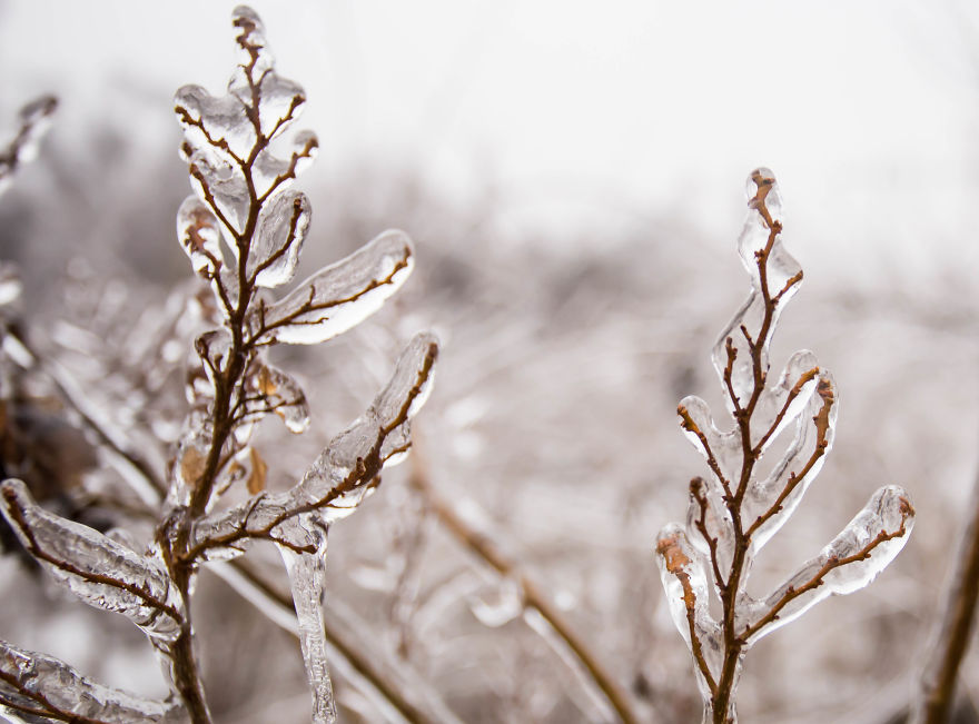 I Photographed Freezing Rain, Alternately Beautiful And Scary