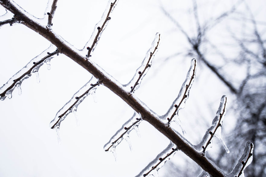 I Photographed Freezing Rain, Alternately Beautiful And Scary