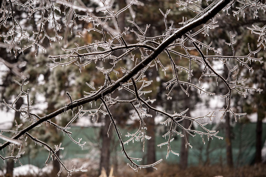 I Photographed Freezing Rain, Alternately Beautiful And Scary