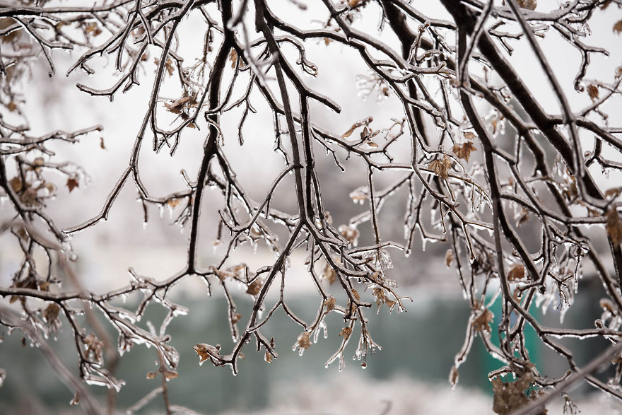 I Photographed Freezing Rain, Alternately Beautiful And Scary