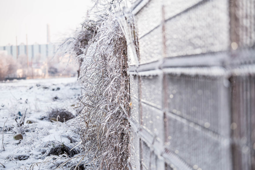 I Photographed Freezing Rain, Alternately Beautiful And Scary