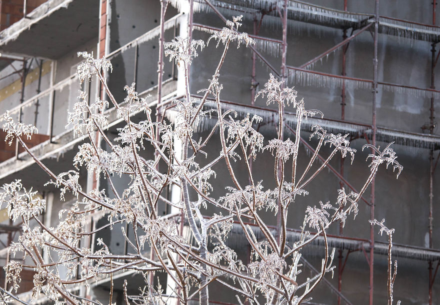 I Photographed Freezing Rain, Alternately Beautiful And Scary