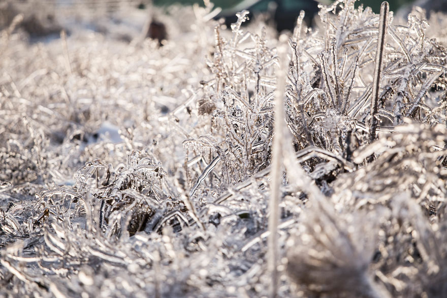 I Photographed Freezing Rain, Alternately Beautiful And Scary